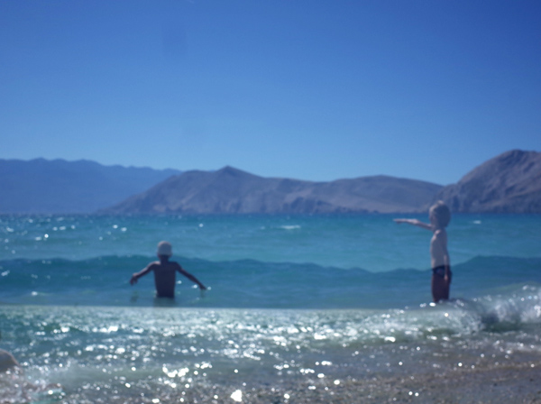 649 :: Seads